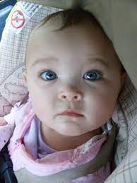Or maybe his eyes will change, i know my dad had blue eyes and blonde hair as a baby but now his. Daily Awww Baaaaabies 27 Photos Blue Eyed Baby Half Asian Babies Asian Babies
