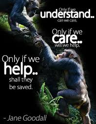 Jane Goodall Quote Animal Quotes Jane Goodall Quotes Jane Goodall