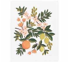 Maybe you would like to learn more about one of these? Citrus By Rifle Paper Co Pottery Barn