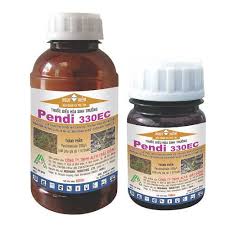 Pendi 330EC
