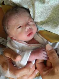 Elliot Marshall Obituary