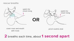 How To Perform Cpr Hands Only And Mouth To Mouth In 2020 How To Perform Cpr Cpr Cpr Training