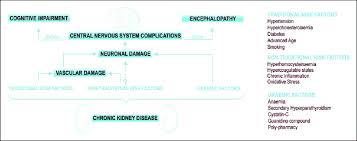 flow chart of the exposures in ckd associated with central