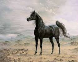 Satu ekor kuda dapat mencapai rp. Melayu Sejarah Kuda Arab