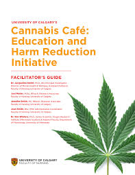 Displaying 22 questions associated with risk. Pdf Cannabis Cafe Education And Harm Reduction Initiative Facilitator S Guide