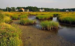 11 Best Hotels In Dauphin Island, Dauphin Island (Al)