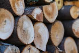 Although we may not have as many events in wichita as usual, our goal is to find plenty to do on the cheap for both kids and adults. Complete Tree Services In Wichita Tree Tamers Of Wichita
