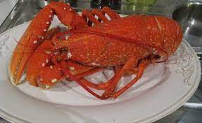 Leave the lobsters to cool for 5 minutes before removing from the water. Day 51 Lobster Thermidor Lobster Thermidor Cooking Crab How To Cook Prawns