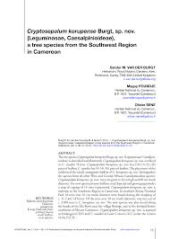 Image result for Cryptosepalum maraviense