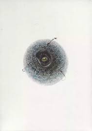 Bildergebnis für Kristiina Laurits