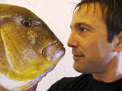 Food and drinks @ Island Losinj