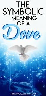 Doves are a very complex symbol. What Does A Dove Symbolism 9 Meanings We See In The Bible Think About Such Things