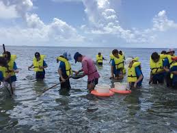 The French American School of Miami