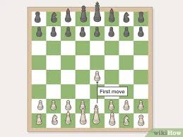 Ava 3 f german, ancient germanic originally a short form of germanic names beginning with the element avi, of unknown meaning, possibly the roman poet ovid used it for the main female character in his book amores. How To Play Chess For Beginners With Pictures Wikihow