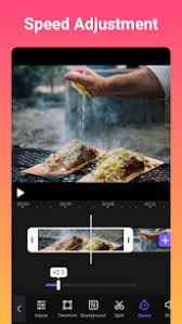 This mod version of vivacut has premium features unlocked, use this app for free now. Vivacut Mod Apk Latest 2 6 6 Download Fully Unlocked