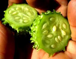 Image result for Cucumis anguria