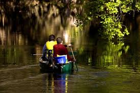 Maybe you would like to learn more about one of these? Hillsborough River State Park Campground Pet Policy
