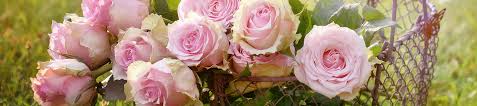 All Obituaries Riemann Family Funeral Homes Pass Christian Ms Funeral Home And Cremation