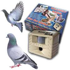 An ultrasonic bird repeller deters pest birds through sound frequencies that can't be heard by humans. Balcony Guard Ultrasonic Bird Repeller Only 59 95 At Garden Fun