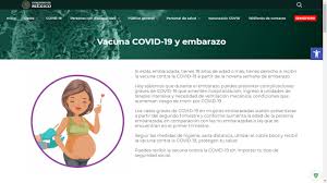 Al registrarse podrá obtener información periódica sobre el plan provincial público, gratuito y voluntario contra el covid 19 y novedades respecto a los turnos para la vacunación. Embarazadas Ya Pueden Solicitar Vacuna Anti Covid 19