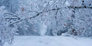 Maybe you would like to learn more about one of these? British Columbia Has Broken 7 Cold Weather Records In The Past 48 Hours News