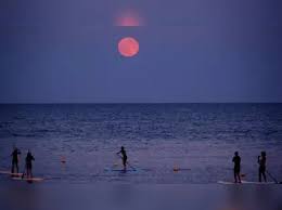 Strawberry Moon 2025 fever: Why Tuesday’s moon is anything but ordinary
