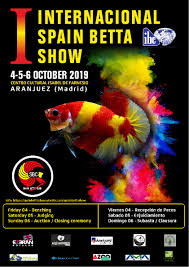 Spain Betta Club International Show International Betta Congress