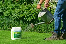 Mornings are best and most effective periods because evaporation at this time is low due to cooler temperatures and. How To Care For Your Summer Lawn Richard Jackson Garden