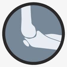 Nov 21, 2018 · top 50+ lord venkateswara images hd 2021. Venkateswara Swamy Namalu Png Free Transparent Clipart Clipartkey