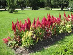 Pin On Landscape