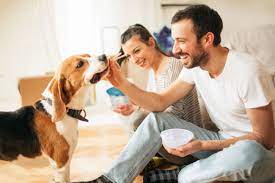 Although some people like to keep dry dog food in plastic storage containers, it is best to keep the food stored in the original bag. The Best Way To Store Dog Food How To Do Homemade Dog Biscuits