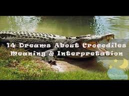 54 Dreams About Crocodiles Meaning And Interpretation Dream Meanings Crocodiles Dream Interpretation