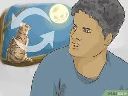 Check out the links below for more information. How To Interpret A Dream Involving Cats 13 Steps With Pictures