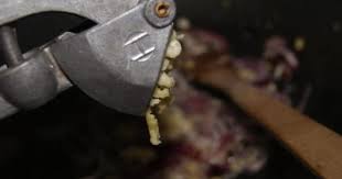 Pate De Lapin Seconde Partie Quantite D Ingredients Selon Le Poids Recette Pate De Lapin Pates Meilleures Recettes De Pates