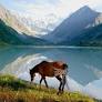 altai mountains russia from www.visitrussia.com