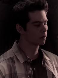 Fanfic sobre Brandon y Stella en Fate: The Winx Saga