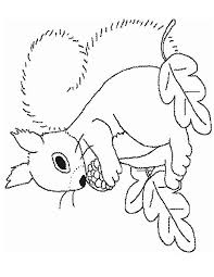 Coloriage Ecureuil A Colorier Dessin A Imprimer Coloring Pages Primitive Patterns Silhouette Stencil