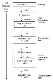 Flow Chart Of The Behavioral Procedures Used For Details