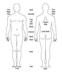 Diagram Of Body Human Body Diagram Body Diagram Body Outline