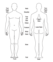 diagram of body human body diagram body diagram body outline