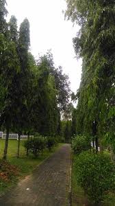 Check spelling or type a new query. Pokok Getah Pertama Seremban 2021 All You Need To Know Before You Go With Photos Tripadvisor