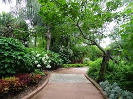 Please contact delectables fine catering, inc. Florida Botanical Gardens Picture Of Florida Botanical Gardens Largo Tripadvisor