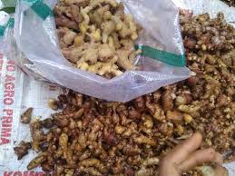 We did not find results for: Wedang Jahe Instan Home Facebook