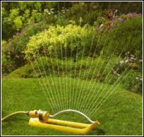You will need to water more in the heat, especially if you have a fescue lawn. Tips On Watering Your Lawn Grass Clippings Lawn Advice From A Team Of Lawn And Turf Experts