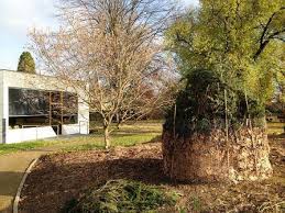 See more of botanischer garten der universität des saarlandes on facebook. Botanik Rheinland Pfalz Und Saarland