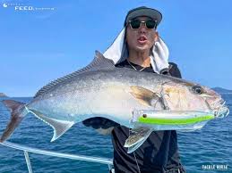 タックルハウス