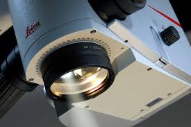 Image result for Red Reflex