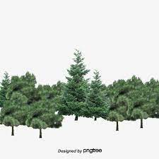 Forest Trees Grove Trees Spring Clips Png Transparent Clipart Image And Psd File For Free Download Autumn Trees Clipart Images Tree Psd