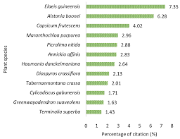Image result for Sarcophrynium prionogonium