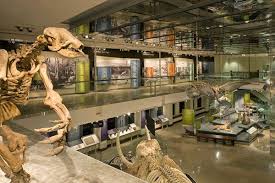 Exploring London On A Budget History Museum Nature Museum Los Angeles Museum